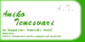 aniko temesvari business card