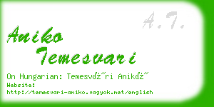 aniko temesvari business card